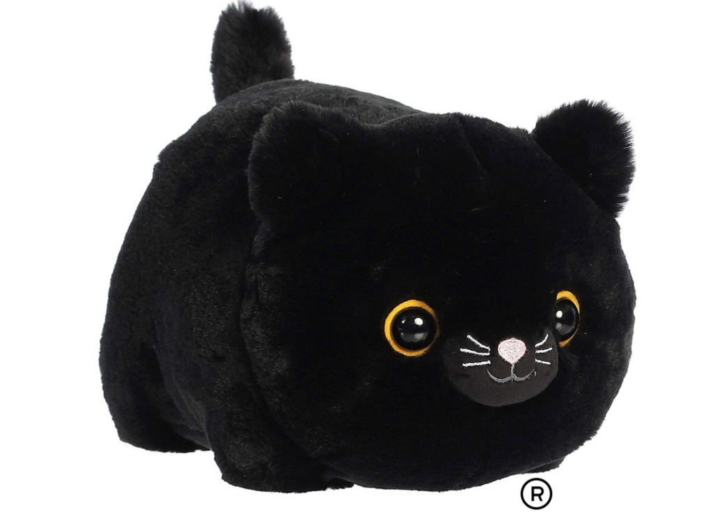 BELLA BLACK CAT