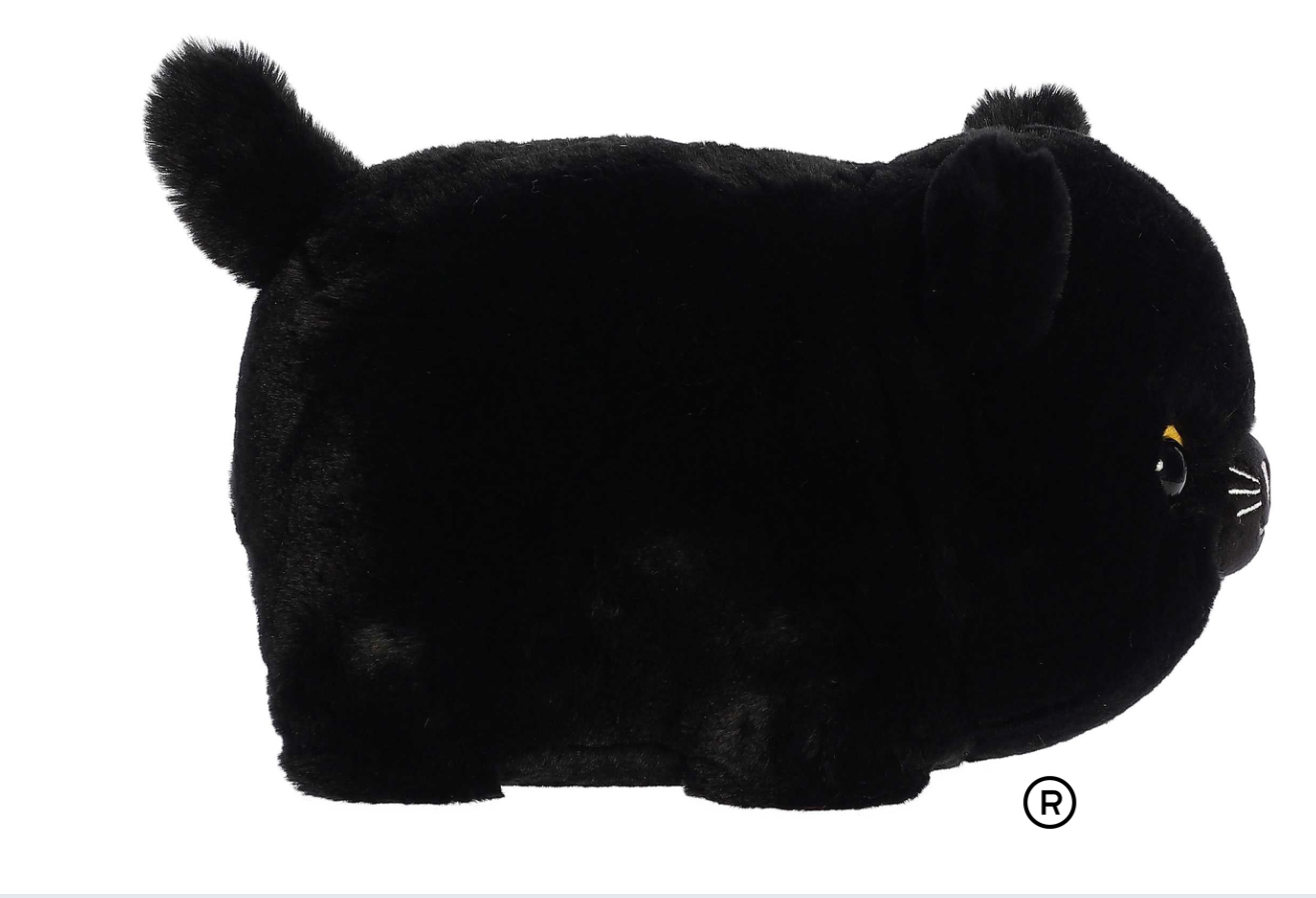 BELLA BLACK CAT