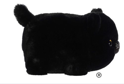 BELLA BLACK CAT