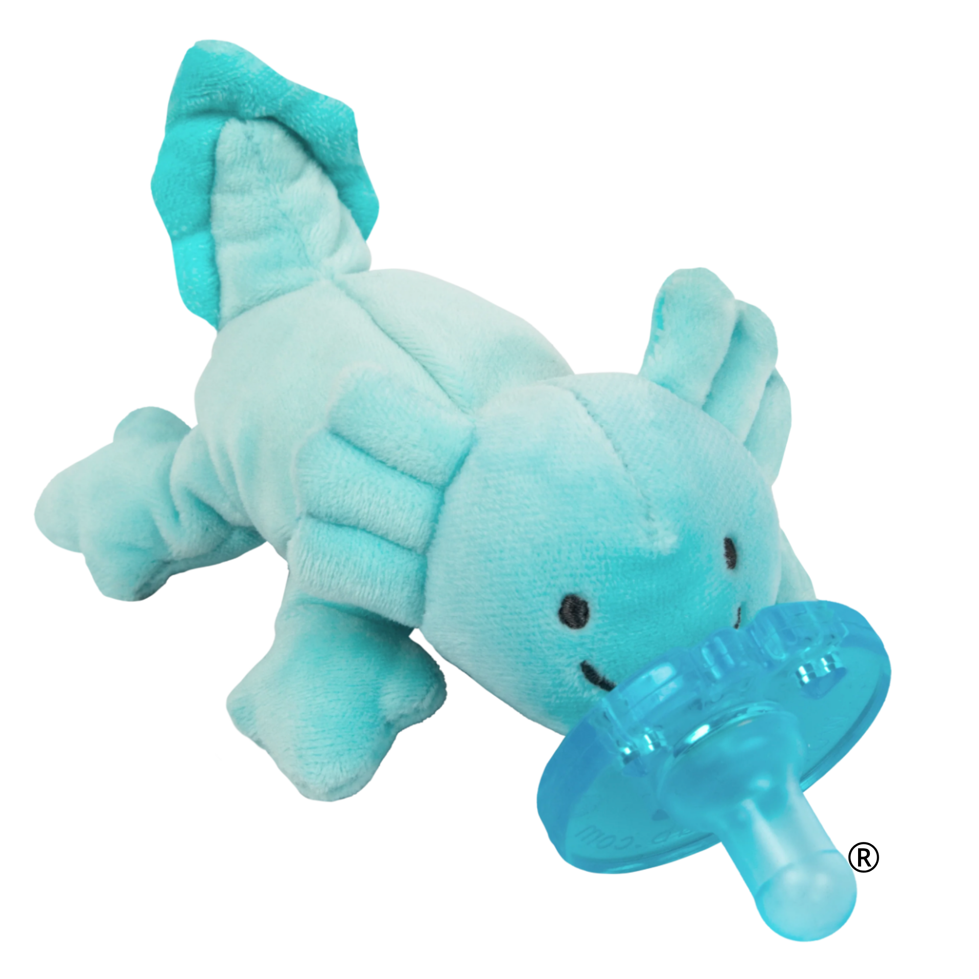 Axolotl