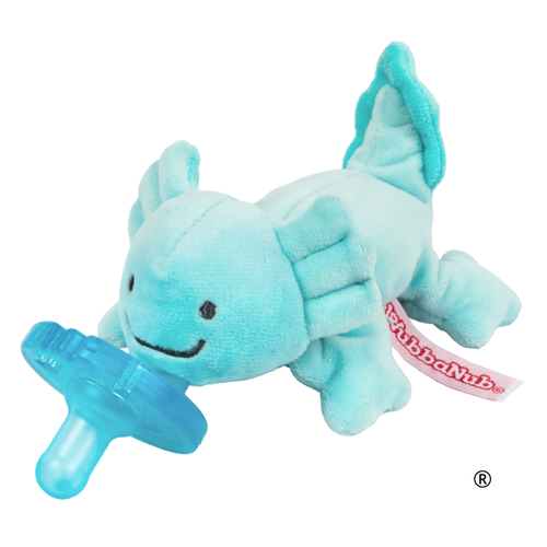 Axolotl