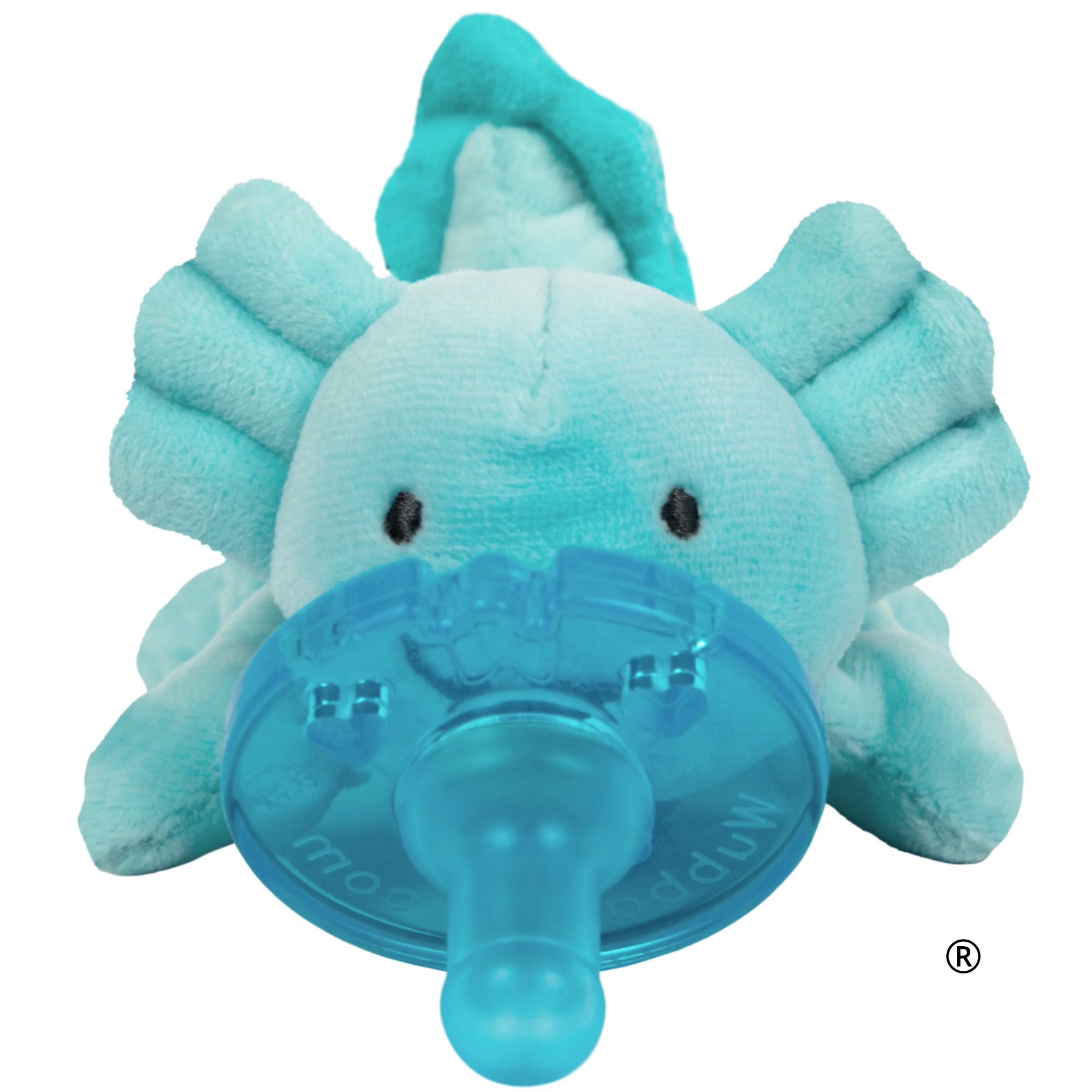 Axolotl
