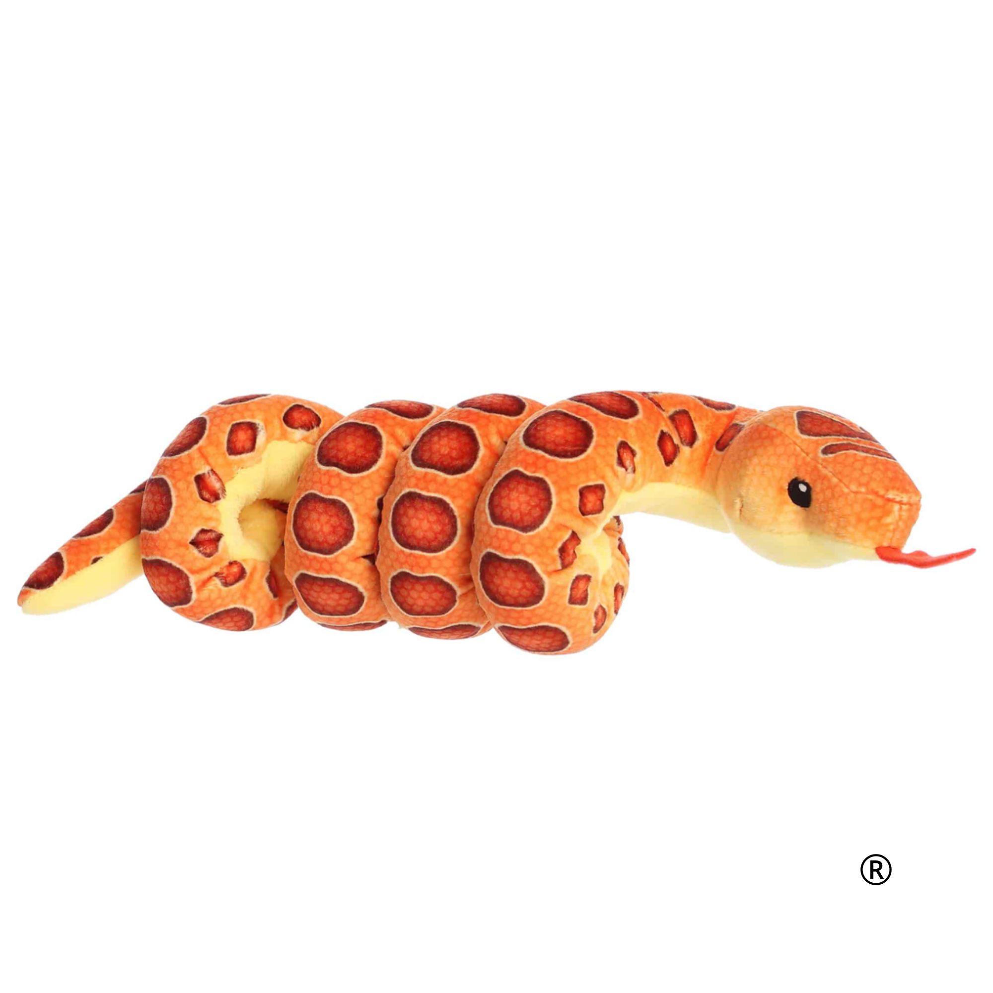 CORN SNAKE