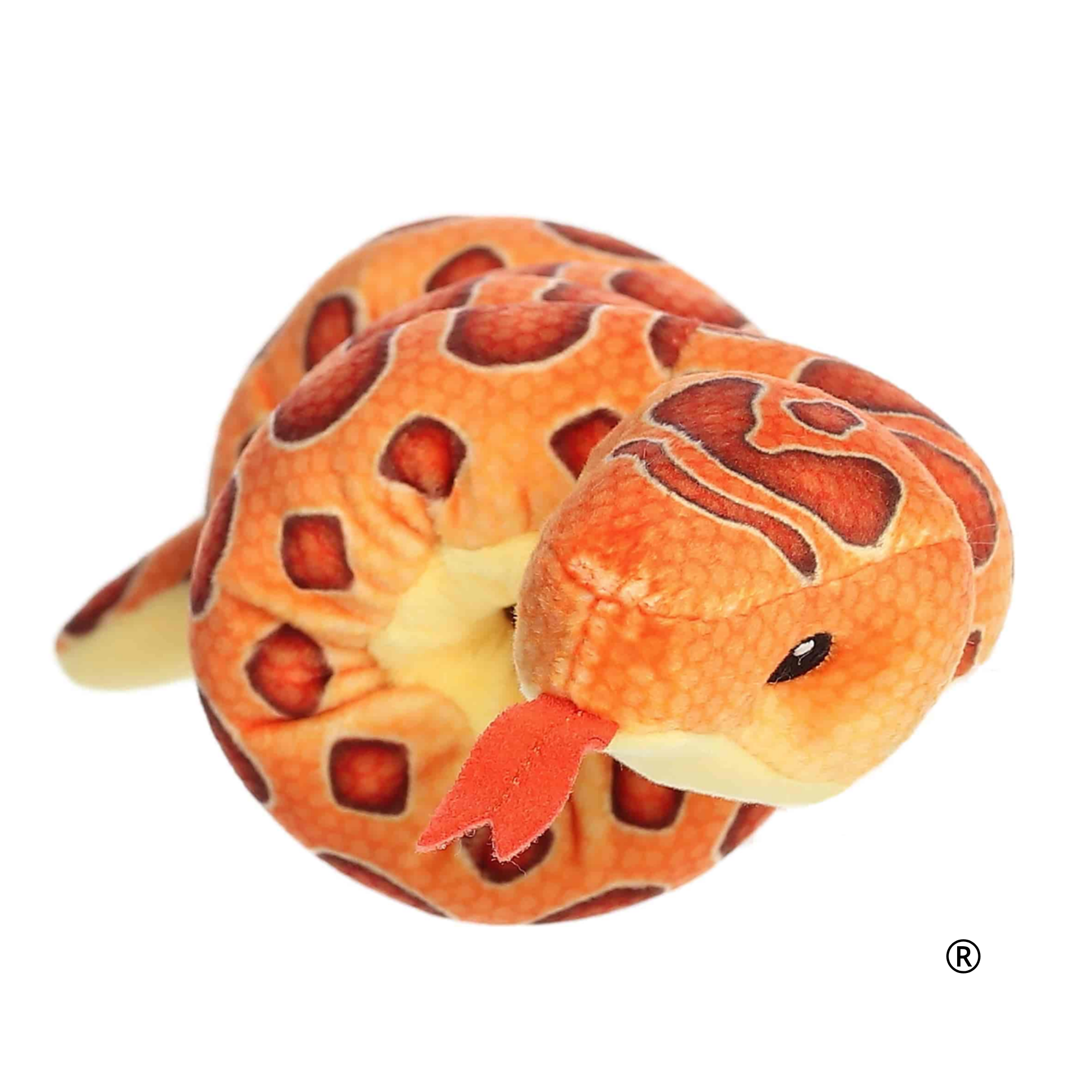 CORN SNAKE