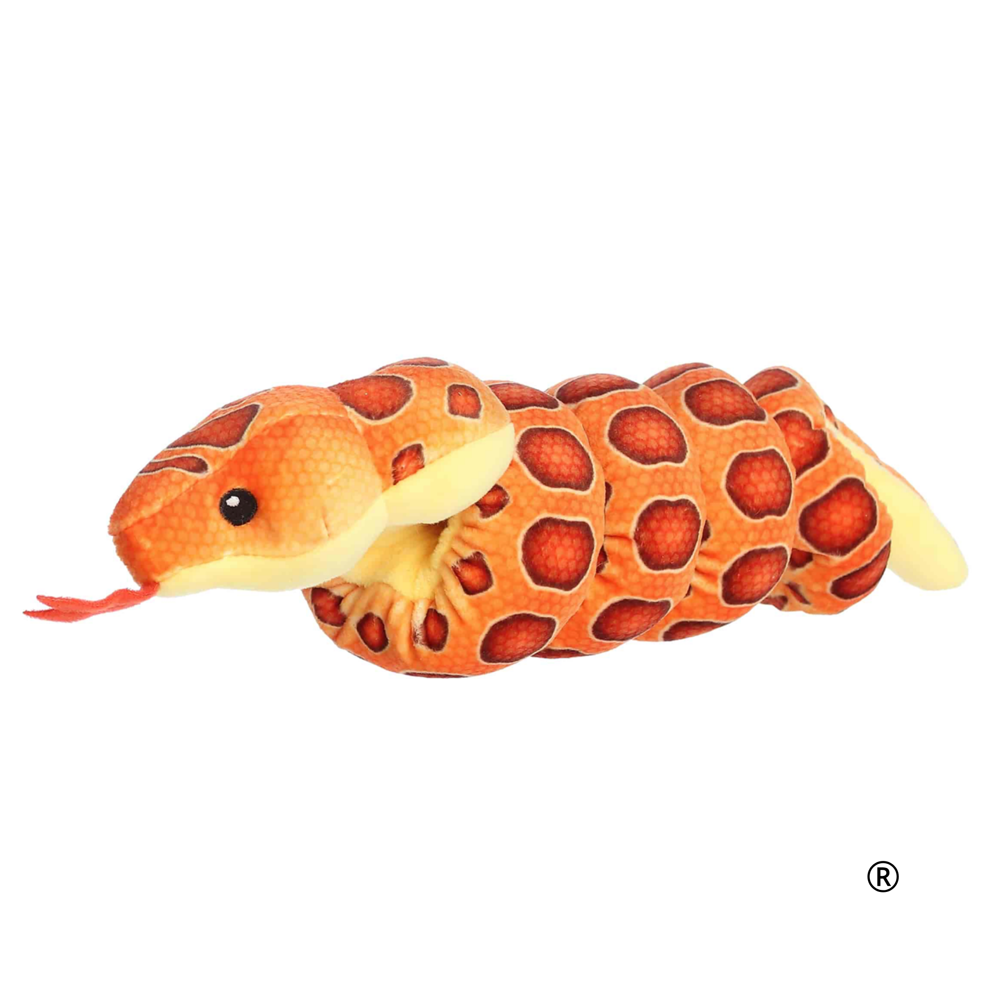 CORN SNAKE