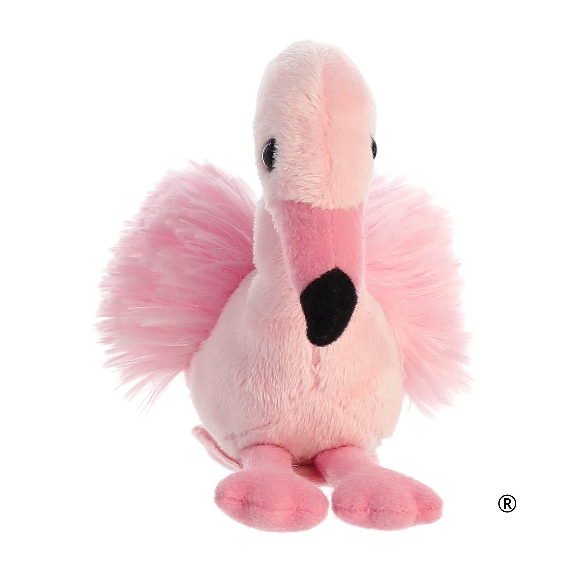 FAY FLAMINGO
