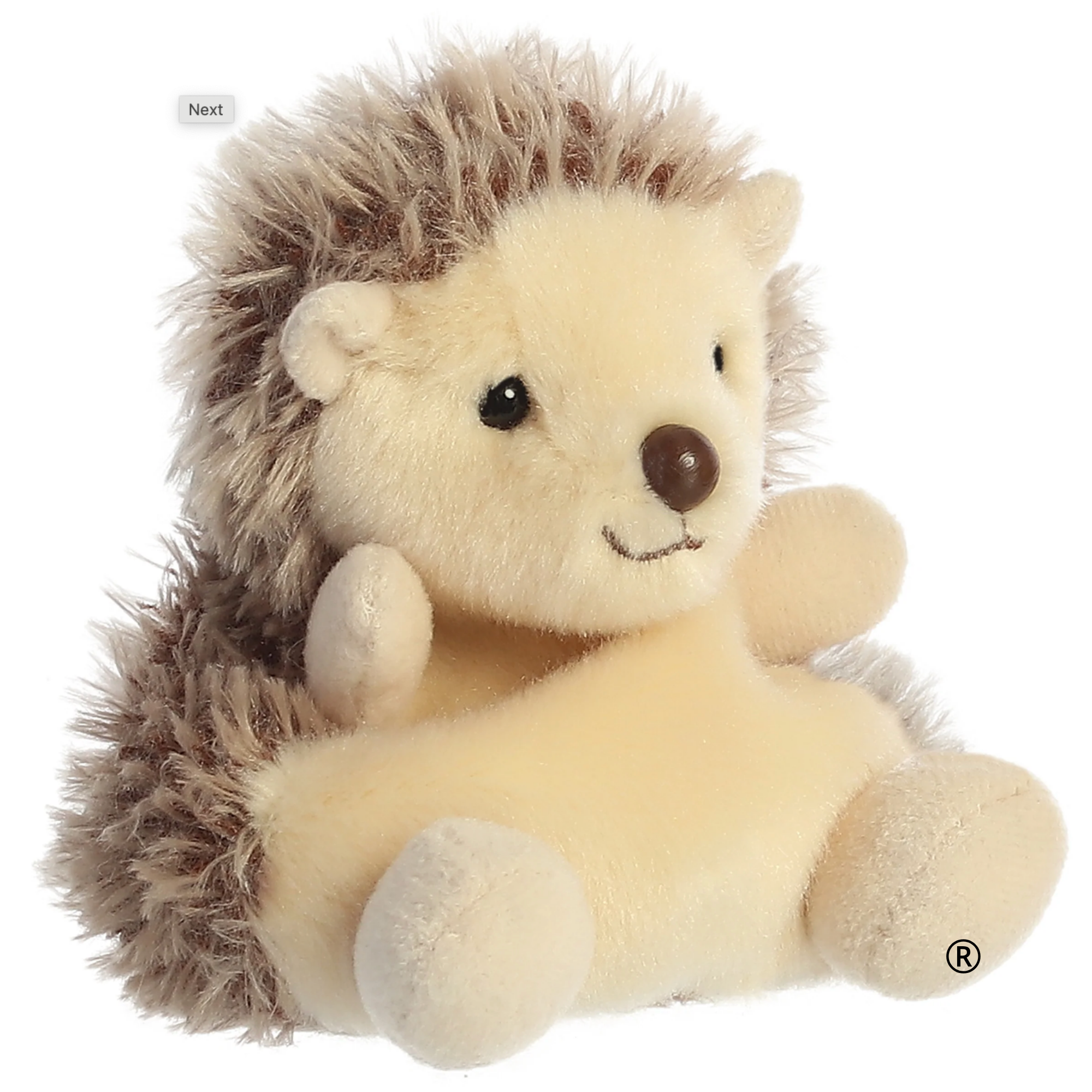 hedgie hedgehog