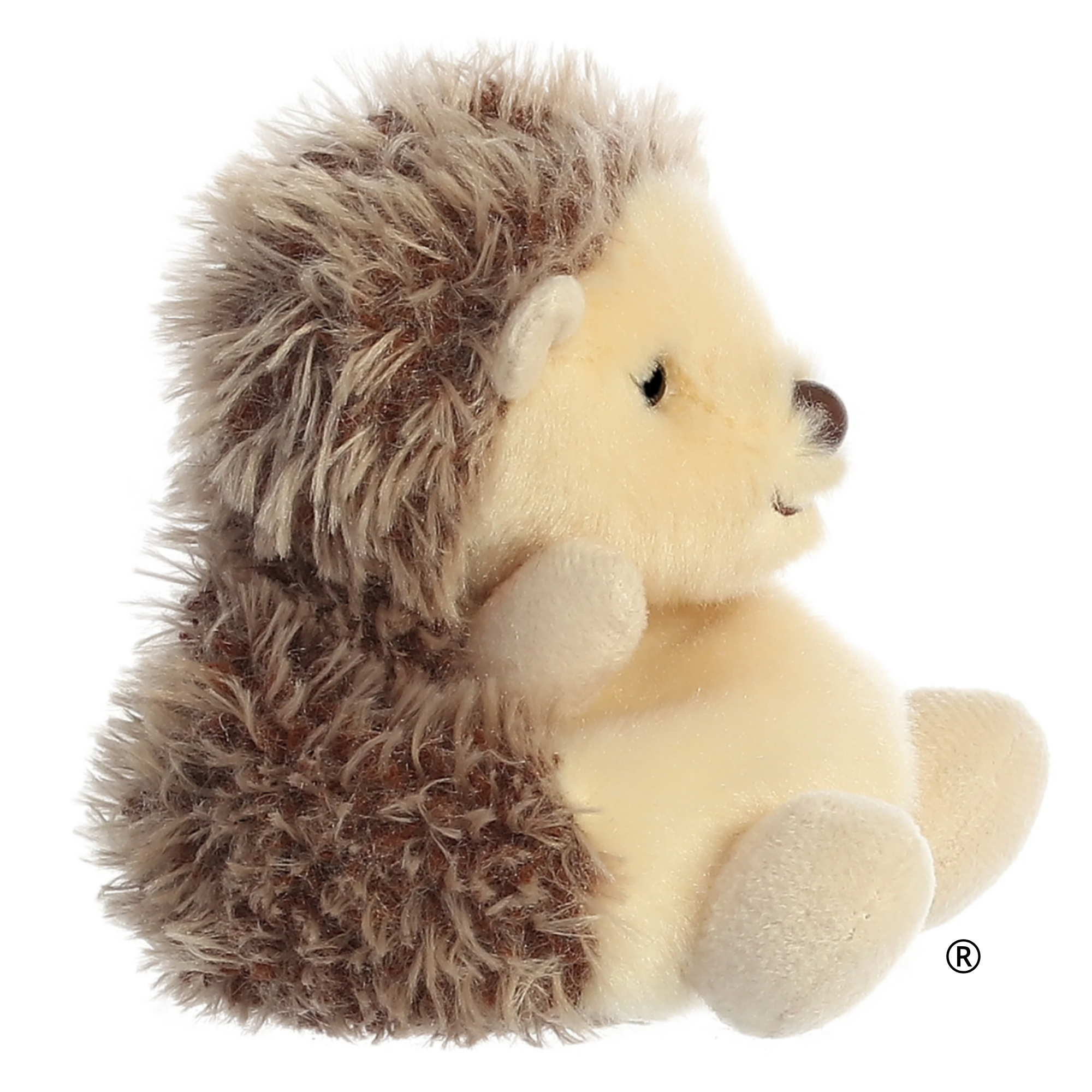 hedgie hedgehog