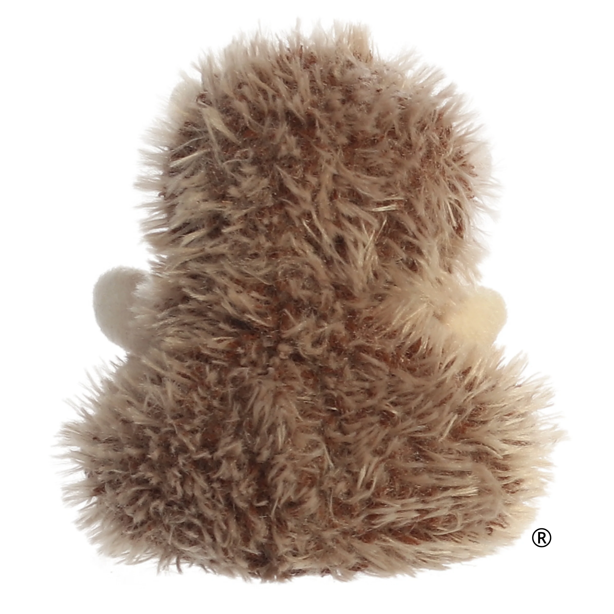 hedgie hedgehog